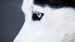 High Tumblr Resolution 1280