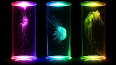 High untitled join favorites posting