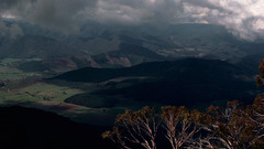 High victoria buffalo Resolution