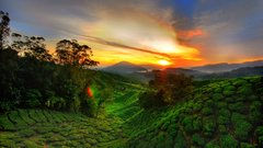 Highland hdr high cameroon Resolution minlie