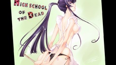 Highschool of the dead