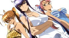 Highschool of the dead