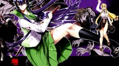 Highschool of the dead busujima saeko Marikawa Shizuka