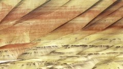 Hills Oregon beds painted fossil