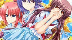 Himawari Manga Anime