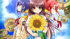 Himawari Manga Anime