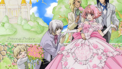 Himenoprincess Manga Anime