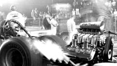 Hippo high Resolution