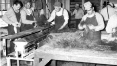 History grading high