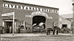 History Horses postcards