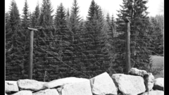 History iron curtain nature