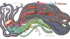 History Literature infographics