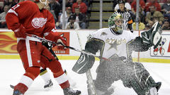 Hockey nhl Detroit Red