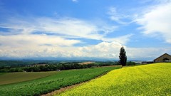 Hokkaido Japan Landscapes