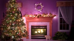 Holidays Christmas window christmas tree indoors Christmas 