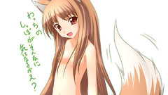Holo The Wise Wolf