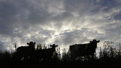 Holy mookies by lisstuppa