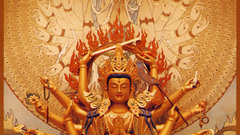 Holy sh it bodhisattva