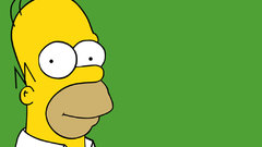 Homer The simpsons cartoon