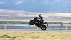 Honda 2007 motorbikes honda cbr600rr