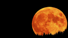 Horizon night orange moon