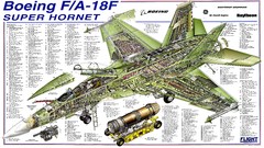 Hornet aircraft Boeing infographics