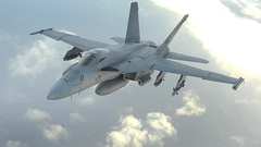 Hornet aircraft f-18 hornet