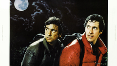 Horror Movies an American