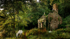 Horse Art House painting days outing