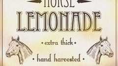 Horse Stoned but lemonade too witty