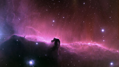 Horsehead Nebula