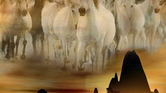 Horses amp mesas Animals