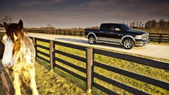 Horses cars dodge ram 1500