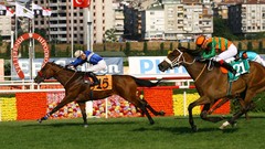 Horses jockey horse racing