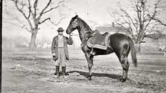 Horses monochrome historical American Civil War old west