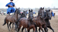 Horses Outlaw TV shows hungary Outlands
