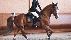 Horses ride monaco Charlotte