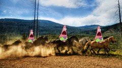 Horses SpongeBob SquarePants funny SpongeBob Patrick Star