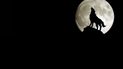 Howling wolf full moon