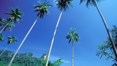 Hqhd blogspot com 007