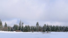 Hr panoramic winter view