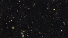 Hs 2010 full significance