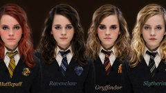 Hufflepuff hermione granger Gryffindor