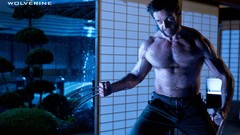 Hugh Jackman the wolverine