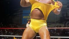 Hulk hogan Celebrity