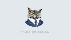 humor drawing owl text Simple Background suits daft punk Lyrics