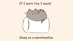 humor marshmallows quote cats artwork Beige beige background