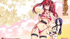 Hyakka Ryouran Samurai Girls Hobbyjapan