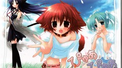 Hyuuga hinata animal ears pure pure sakurazawa izumi thigh highs