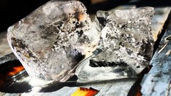 Ice Cameras Photogen and Nycteris